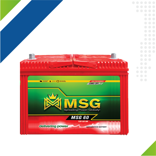 Inverter Tubular Batteries